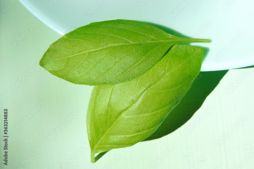 Fototapeta premium freshly picked basil leaves, healthy herbs 