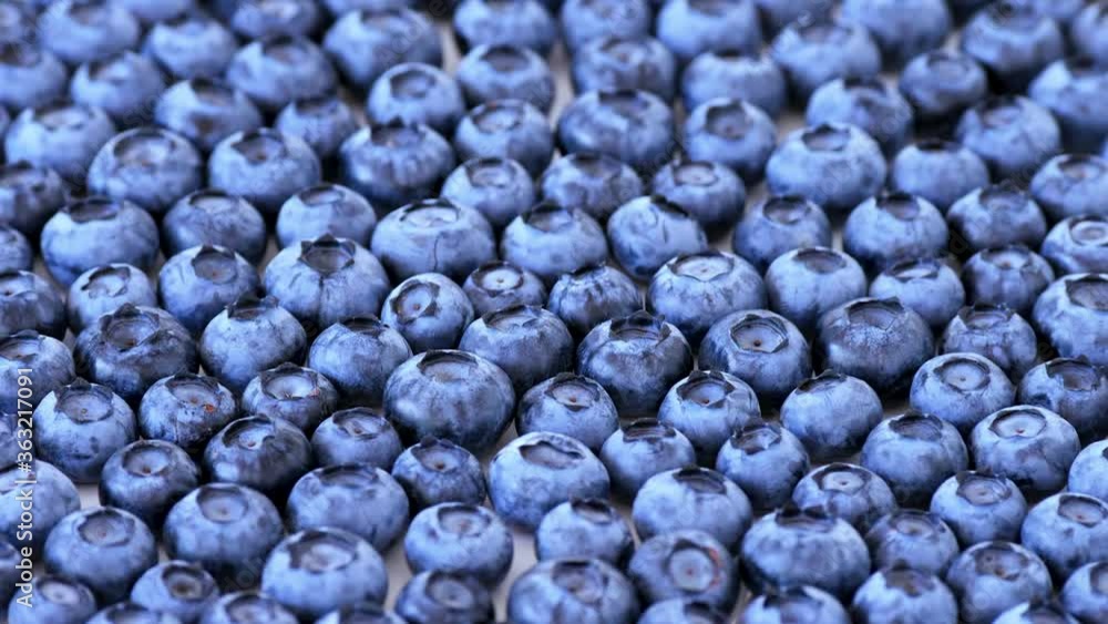 Blueberry Rotating Background. Blue Fruit Macro Shot in Motion Blueberry Rotating Background. Blue Fruit Macro Shot in Motion