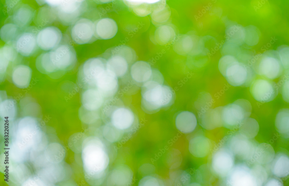 Natural green bokeh abstract background Natural green bokeh abstract background