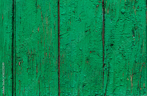 Texture of wooden boards painted in green color