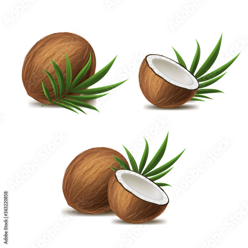 Realistic 3d Detailed Whole Coconut, Half and Green Leaf Set. Vector