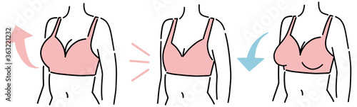 バストアップ　バストダウン　美容　女性　セット
