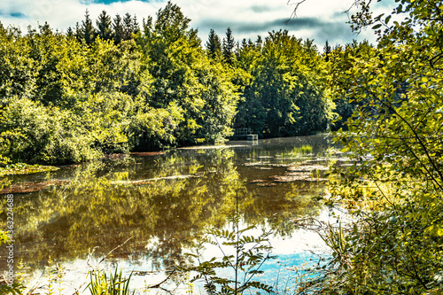 Wald Blumen Feld Landschaft Erzgebirge Städte Dörfer