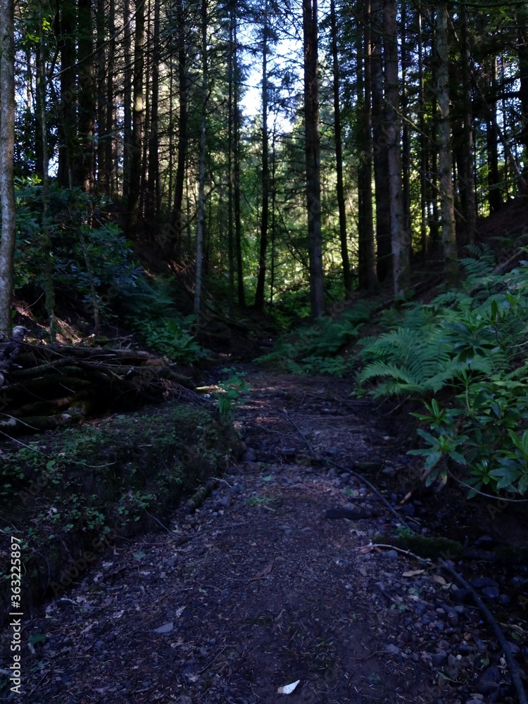 FLASH=Off;MOMENT_LENS=NO LENS;HDR+_MODE=HDR++