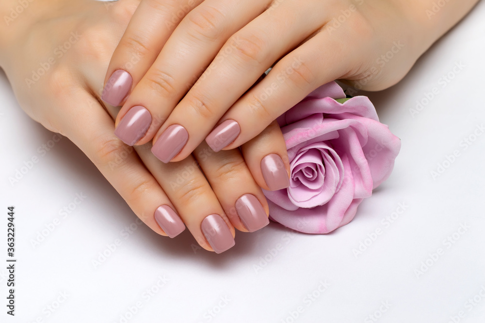 Beige manicure on square nails closeup on a white background with a pink rose in hands. Body manicure.