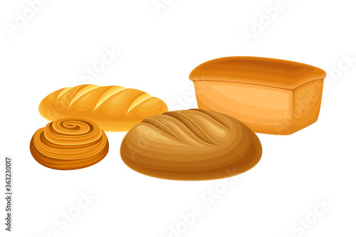 Hot Baked Loaf of Aromatic Bread with Crispy Crust Vector Illustration