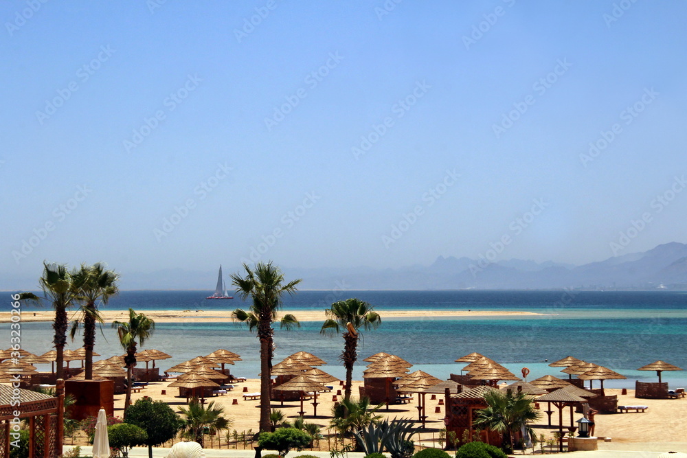 Relax at the hotel in Egypt. Red sea .