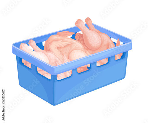 Raw Dressed Chicken Rested in Plastic Basket Vector Illustration