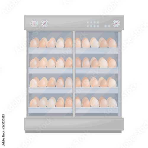 Hen Eggs Rested on Shelves in Incubator Equipment Vector Illustration