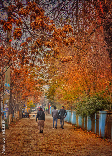 The glorious nature of autumn in Kabul, Afghanistan
