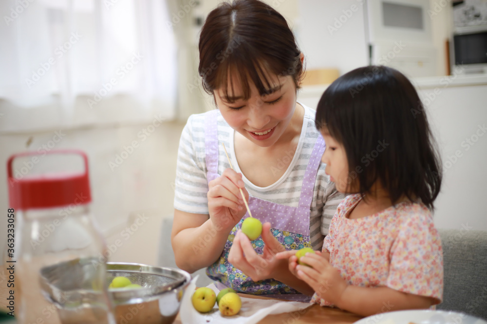 梅酒を作る親子 梅酒を作る親子