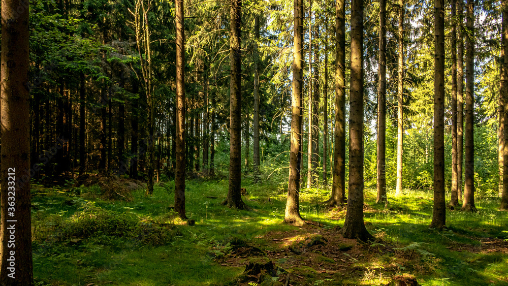 Obraz premium Landschaft Natur 