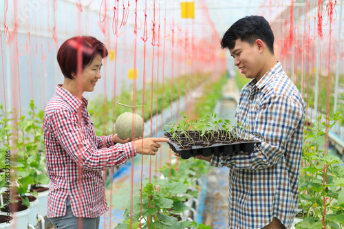 Photography Farmer using tablet computer control agricultural system in seedling growth