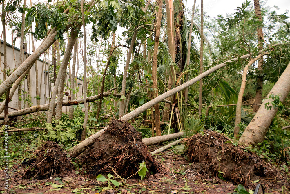 cyclone amphan disaster rampage cyclone amphan disaster rampage