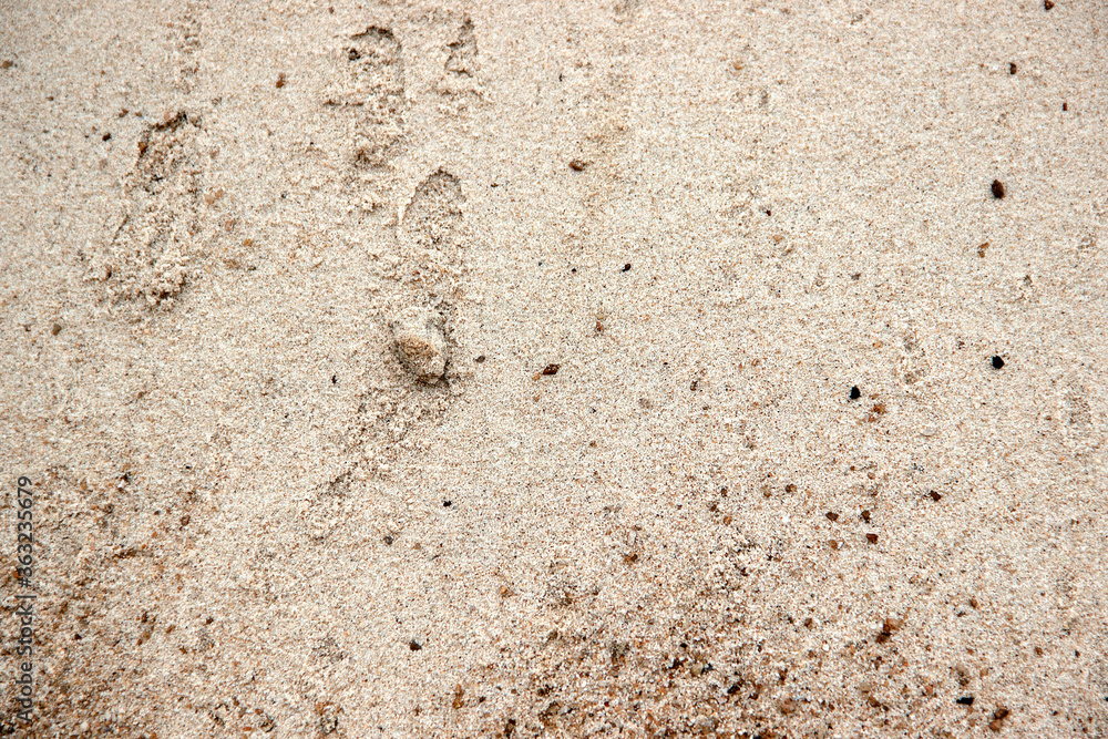 sand texture background sand texture background