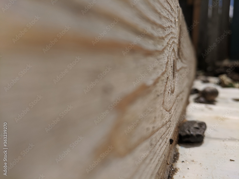 Fototapeta premium Wooden Board