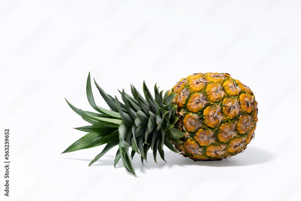 Whole fresh pineapple fruit on white background Whole fresh pineapple fruit on white background