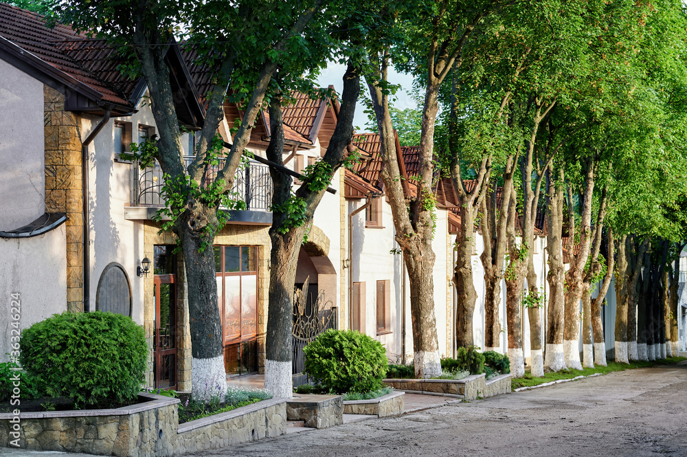 Fototapeta premium Street in Cojusna, Moldova