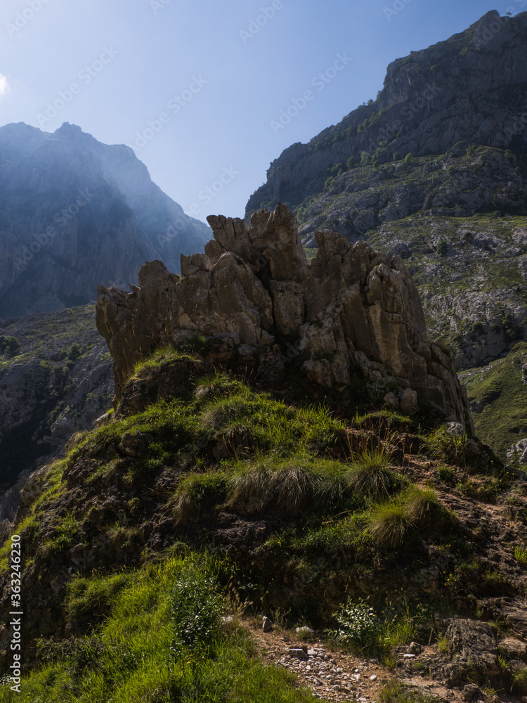 Naklejka premium Rocky Mountains