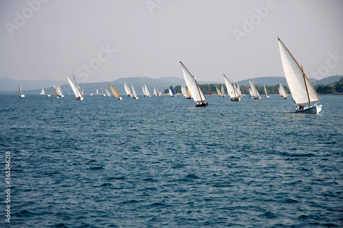 Traditional sailboats with latin sails on the sea
