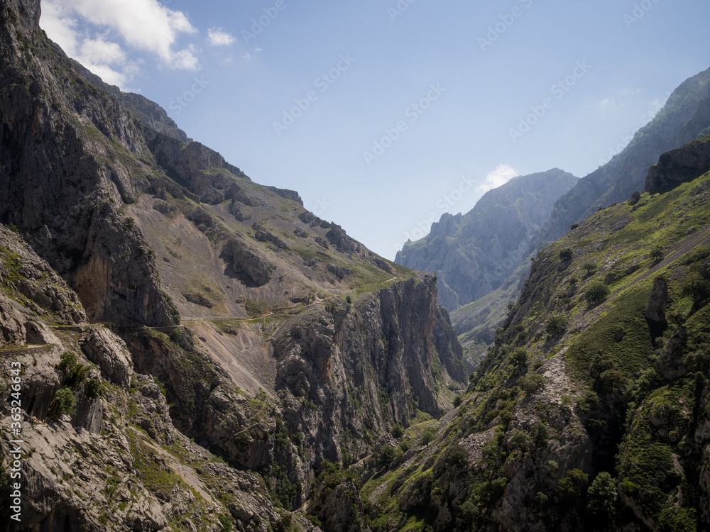 Mountain Landscape