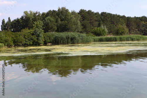 lake in the forest Dnieper River, Kiev Sea
