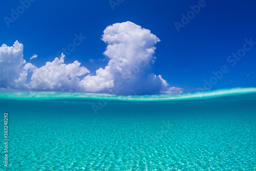 A scene shot of a perfect day in the Caribbean. The split shot or over under shows the blue sky and the peaceful water beneath the surface of the tranquil ocean