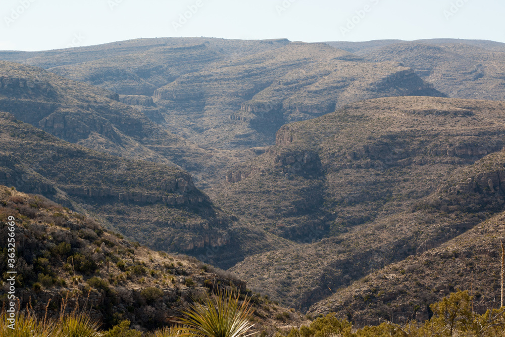 Desert landscape in the southwest  USA