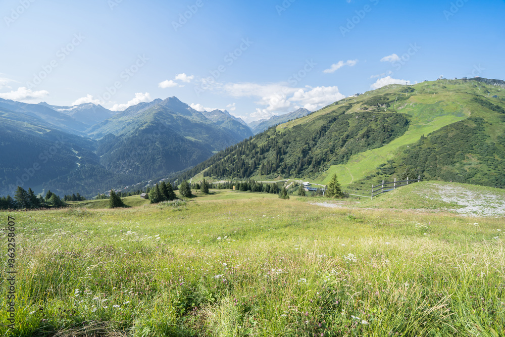 Obraz premium Idyllic summer landscape in the Alps
