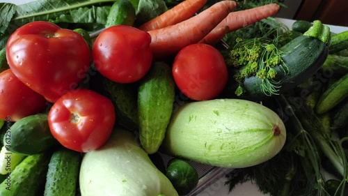 Rural harvest. Set of freshly harvested vegetables. Washed zucchini, cucumbers, tomatoes, carrots, horseradish, dill, currant
