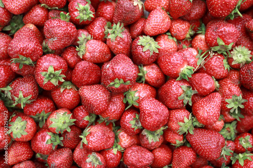 View of Strawberries