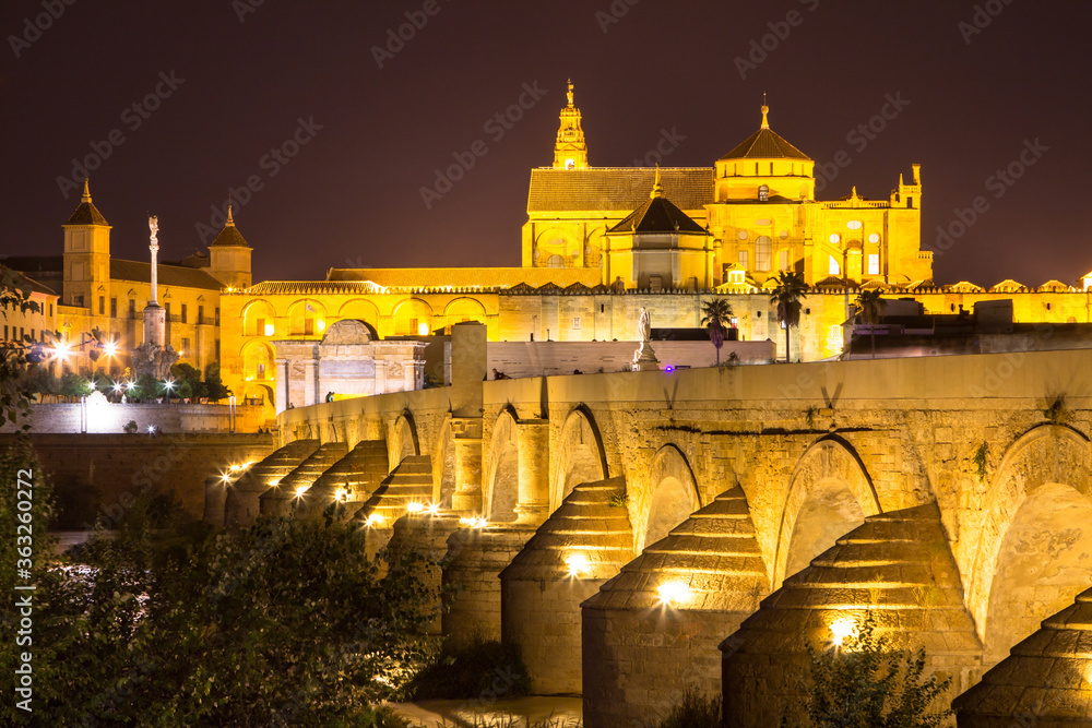 Night view of the Mezquita and Roman Bridge in Cordoba, Spain