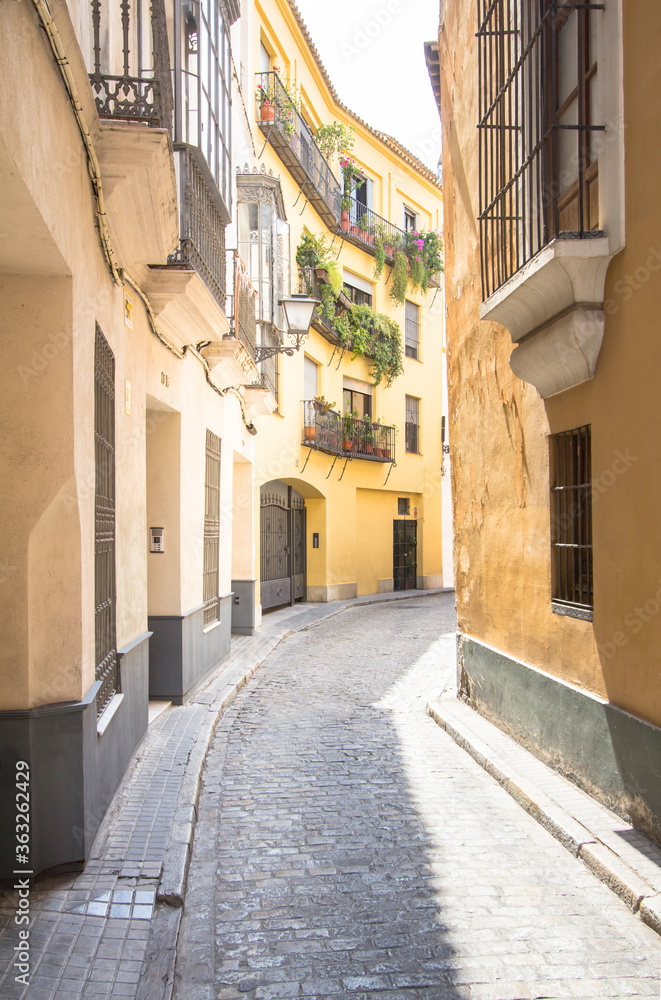 Narrow street of the Seville, Andalucia, Spain