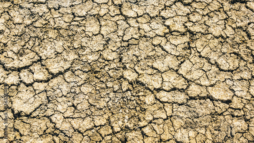 Trockenheit und Dürre als Folge des Klimawandels Trockenheit und Dürre als Folge des Klimawandels