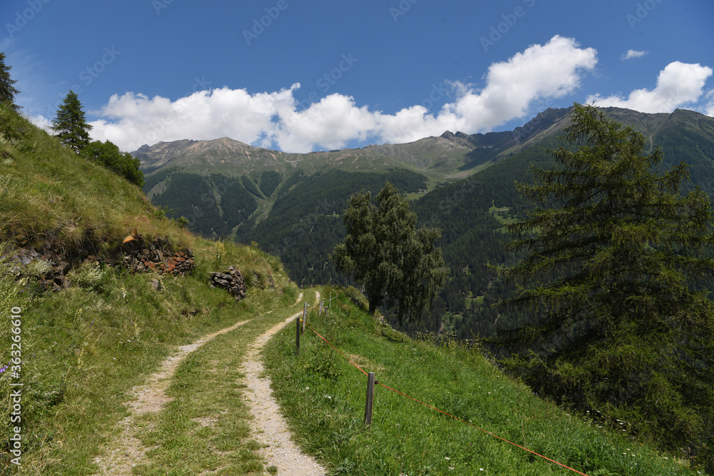 Fototapeta premium paesaggio di montagna strada di montagna 