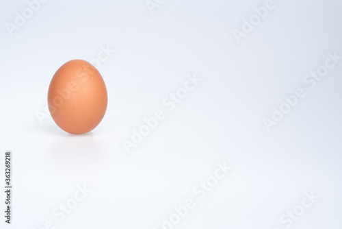 Brown egg on white background