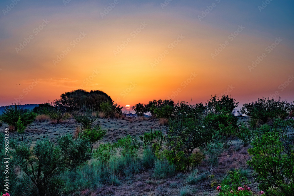 Panorama at dawn on the countryside of Pula