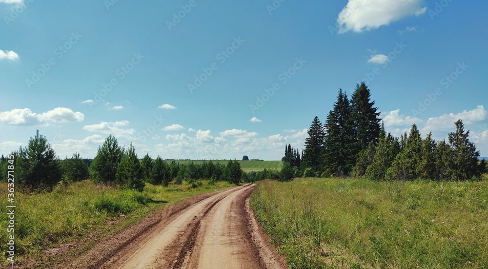 road in a field among green trees on a background of blue sky on a sunny day