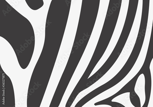 Fondo de pelaje de cebra negro y blanco.
