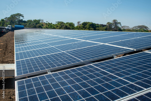 Solar Farm panels