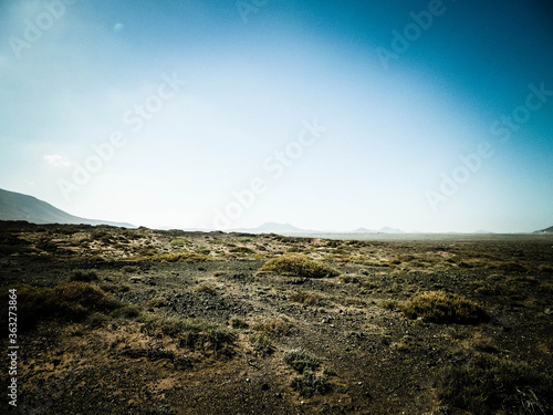 Desert landscape  Lanzarotte   Canary Islands.