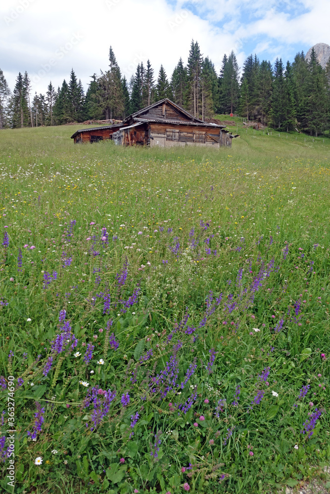 Fototapeta premium Hütte am Nigerpass