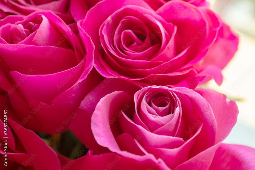 Holiday flowers as a gift-a bouquet of beautiful delicate pink roses Holiday flowers as a gift-a bouquet of beautiful delicate pink roses