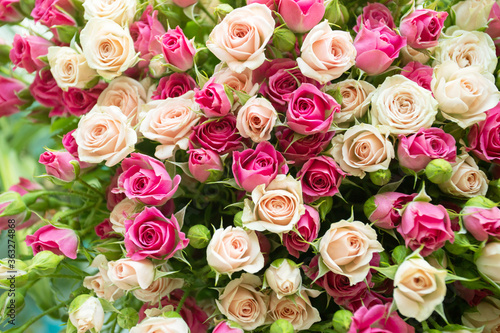 Background flowers bouquet of fresh roses