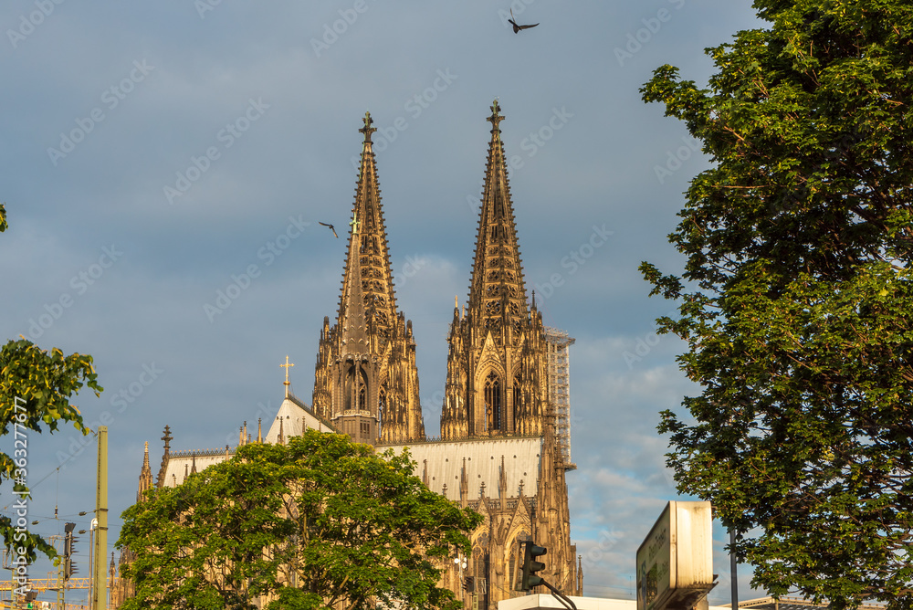 Cologne Cathedral in morning light