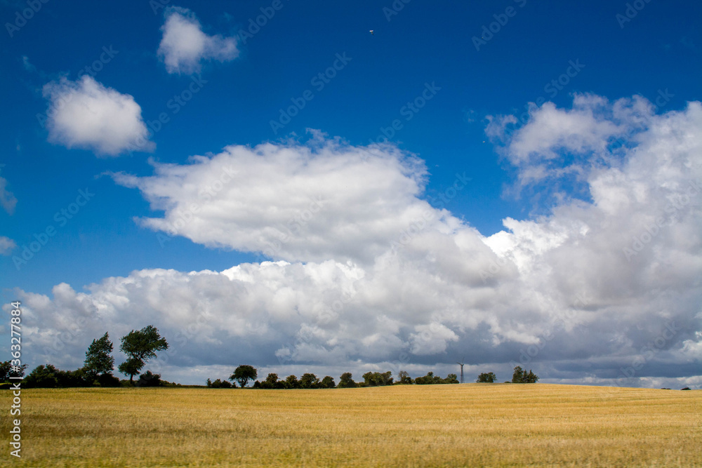 Landscape with clouds, blue sky and ocher field Landscape with clouds, blue sky and ocher field