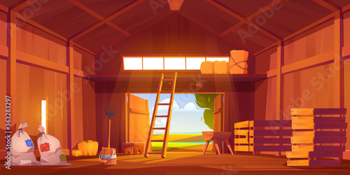 Barn on farm with harvest, straw and hay. Vector cartoon interior of old wooden shed with haystack on loft, ladder, fork, bags and pumpkin. Rural barnhouse for storage harvest