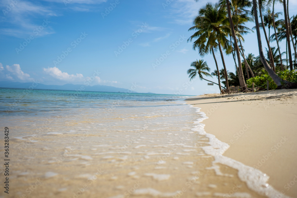 view of the beach with tropical palm trees and golden sand