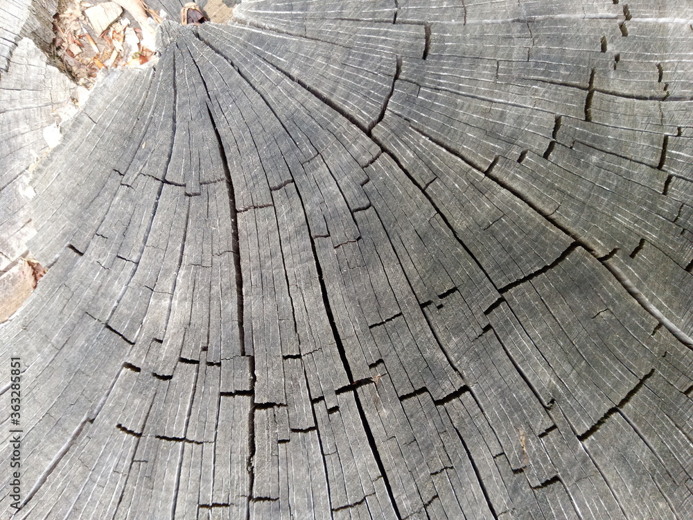 Fototapeta premium old wood texture