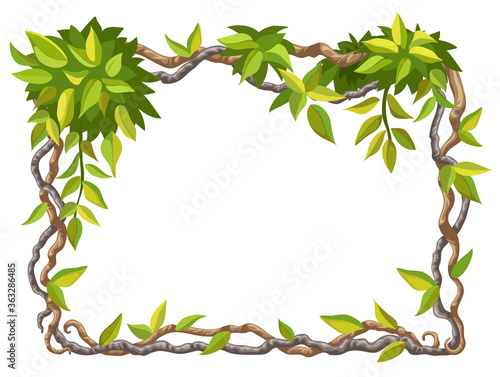 Liana branches and tropical leaves. Cartoon frame plants of jungle with space for text. Isolated vector illustration on white background.